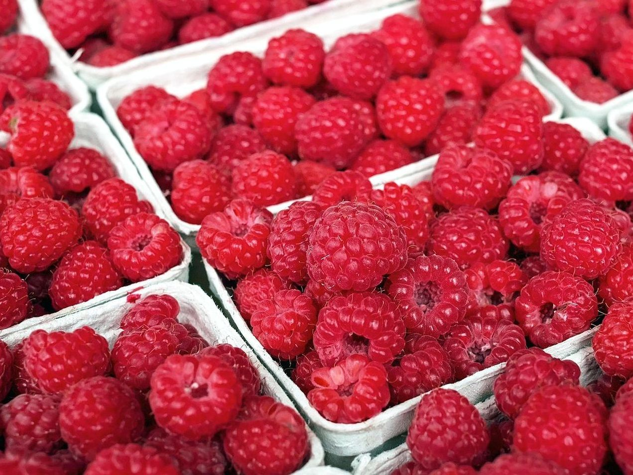 Seasonal summer fruit smoothie menu